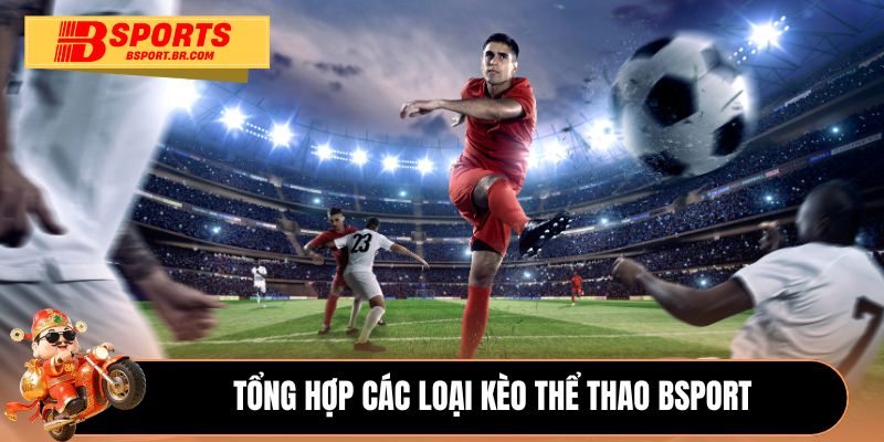 Tổng hợp các loại kèo thể thao Bsport